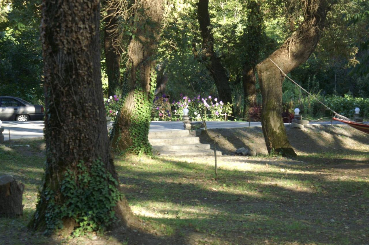 Kvareli Oaks מראה חיצוני תמונה